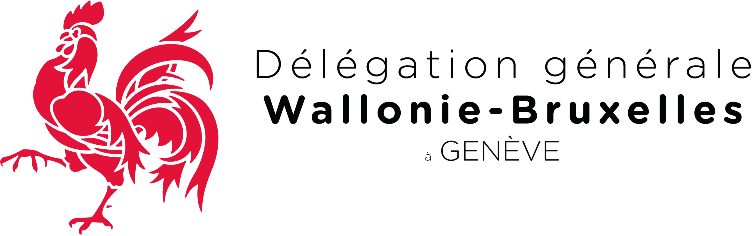DÉLÉGATION WALLONIE-BRUXELLES